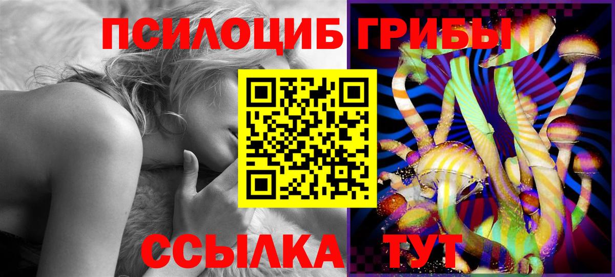 Псилоцибиновые грибы Psilocybe Краснотурьинск