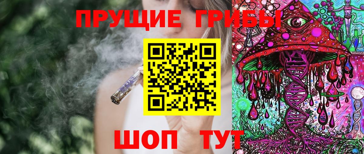 Краснотурьинск  Псилоцибиновые грибы Psilocybine cubensis  Вход с VPN 